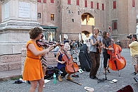 Img 259